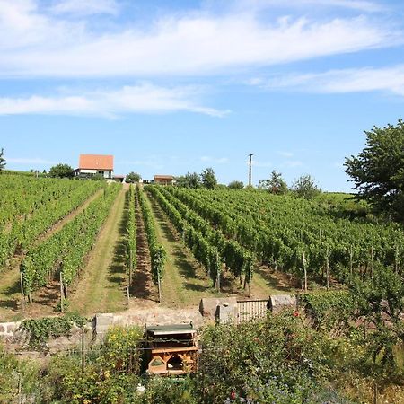 Отель La Belle Alsacienne - Route Des Vins D'Alsace Hattstatt Экстерьер фото