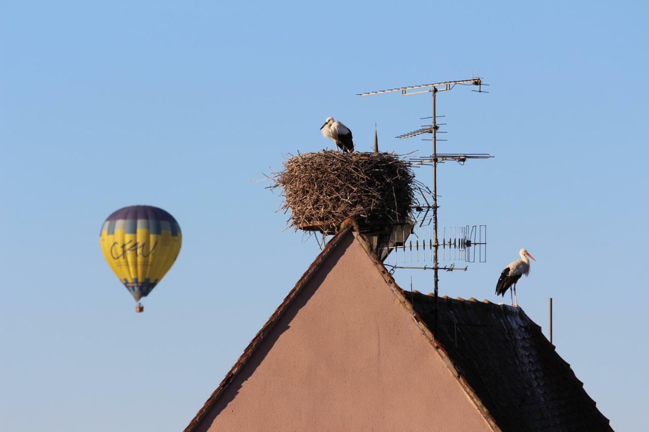 Отель La Belle Alsacienne - Route Des Vins D'Alsace Hattstatt Номер фото