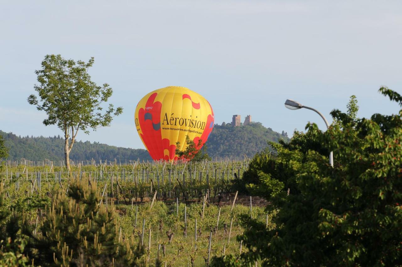 Отель La Belle Alsacienne - Route Des Vins D'Alsace Hattstatt Номер фото