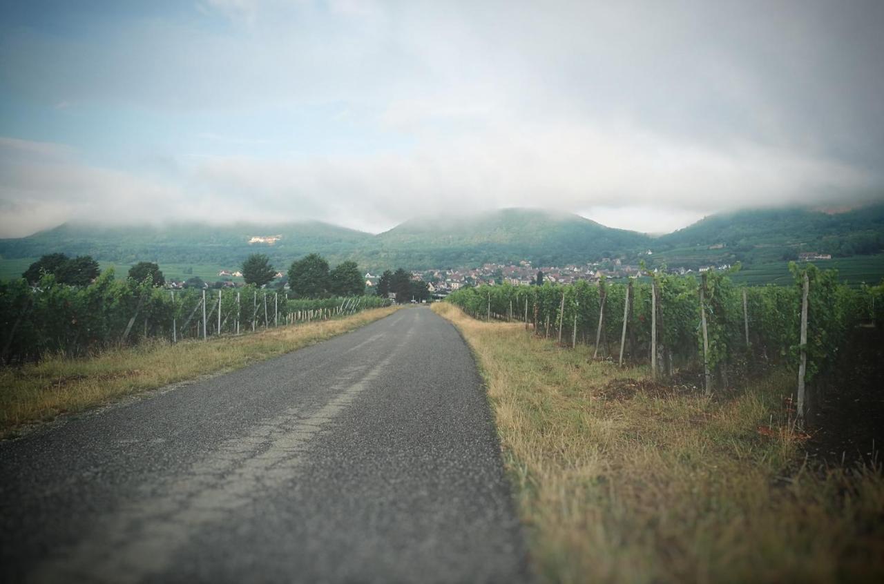 Отель La Belle Alsacienne - Route Des Vins D'Alsace Hattstatt Экстерьер фото