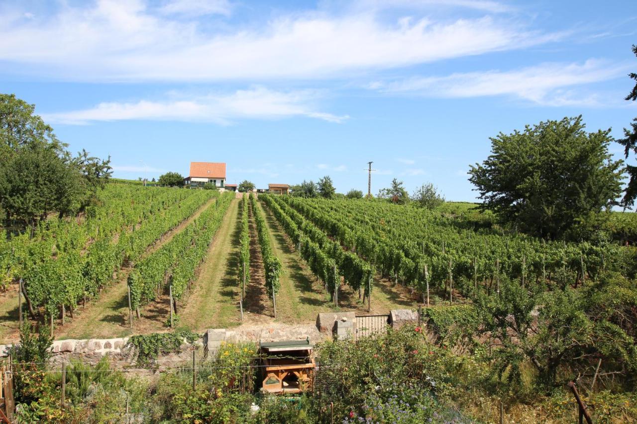 Отель La Belle Alsacienne - Route Des Vins D'Alsace Hattstatt Экстерьер фото